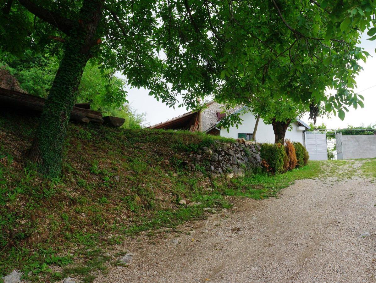 Old House Kontic Lejlighed Nikšić Eksteriør billede